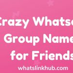 Crazy Whatsapp Group Names for Friends