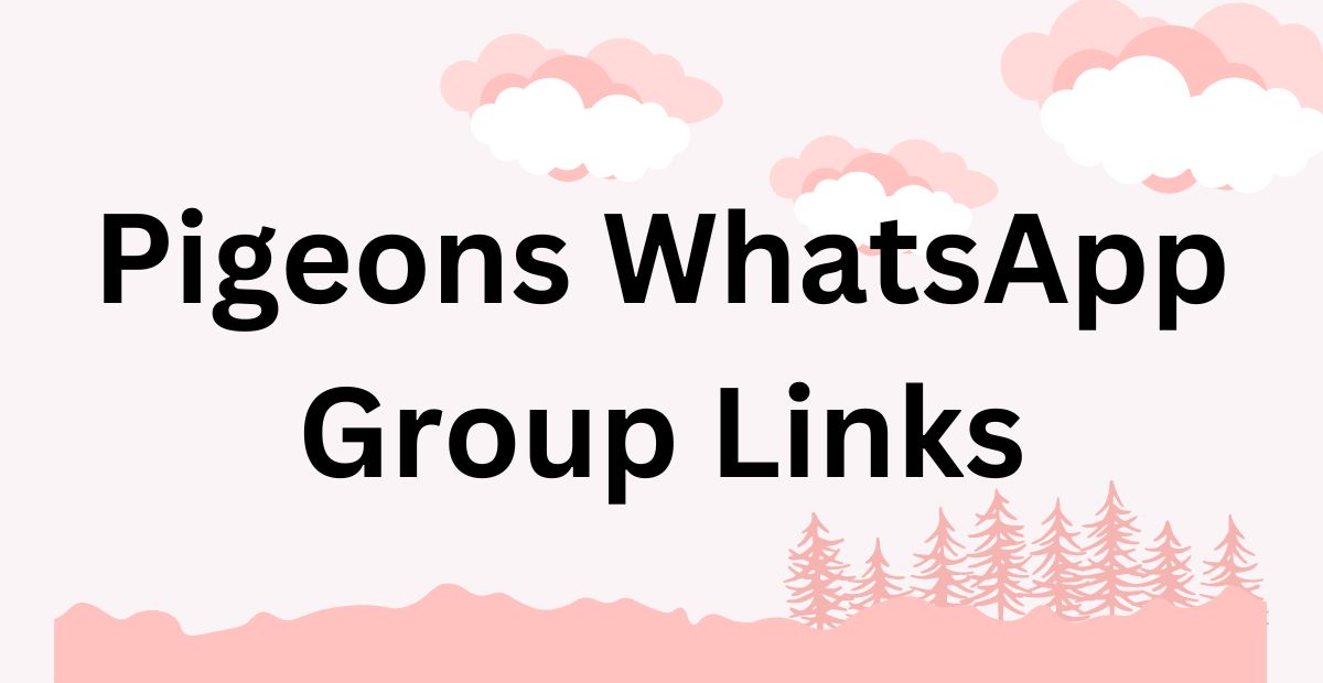 Pigeons WhatsApp Group Links