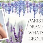 Pakistani Drama Whatsapp Group Links